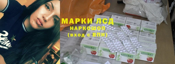 амф Новокубанск