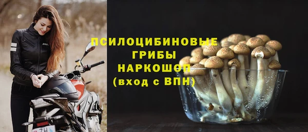 jwh Новозыбков