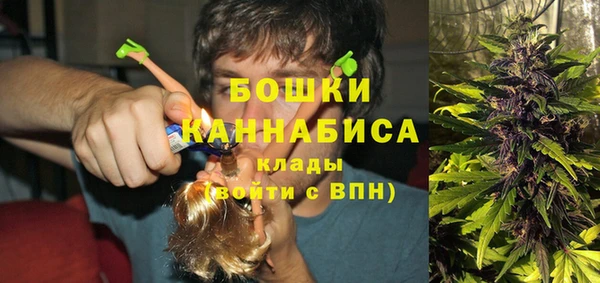 амф Новокубанск