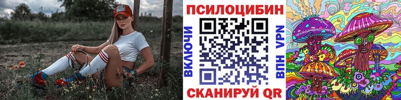Псилоцибиновые грибы Psilocybe  Новоузенск 